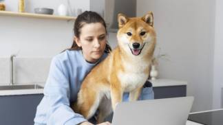 young-woman-trying-work-while-her-dog-is-distracting-her-1